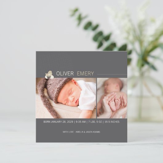 孵化卵ベビー雛の写真誕生のお知らせ 案内状 (スタンド正面)