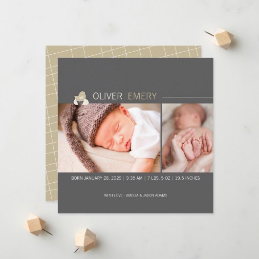 孵化卵ベビー雛の写真誕生のお知らせ 案内状 (正面/裏面インサイチュ)