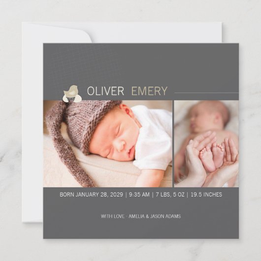 孵化卵ベビー雛の写真誕生のお知らせ 案内状 (正面)