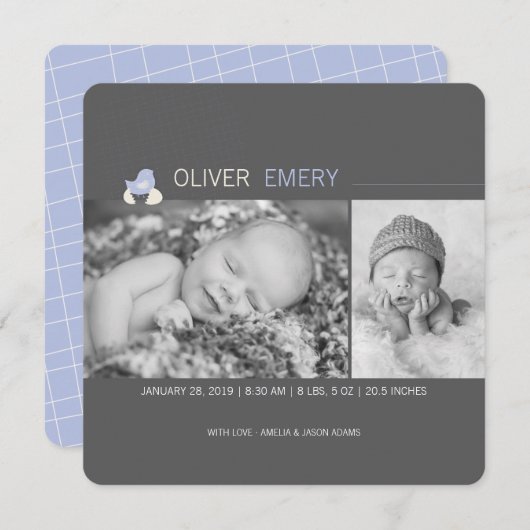 孵化卵ベビー雛の男の子の誕生の発表 案内状 (正面/裏面)