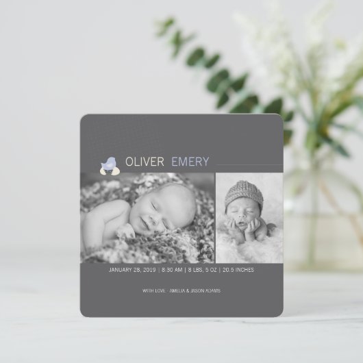 孵化卵ベビー雛の男の子の誕生の発表 案内状 (スタンド正面)