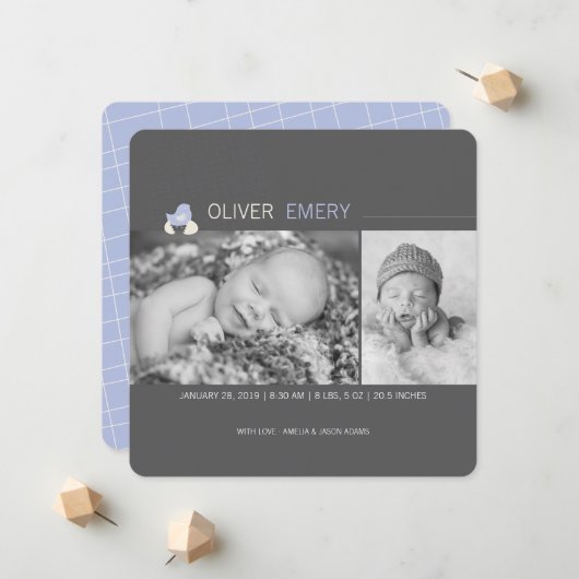 孵化卵ベビー雛の男の子の誕生の発表 案内状 (正面/裏面インサイチュ)