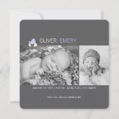 孵化卵ベビー雛の男の子の誕生の発表 案内状 (正面)