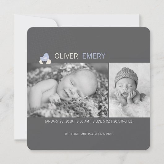 孵化卵ベビー雛の男の子の誕生の発表 案内状 (正面)