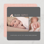 孵化卵ベビー雛ガール誕生のお知らせ 案内状 (正面/裏面)