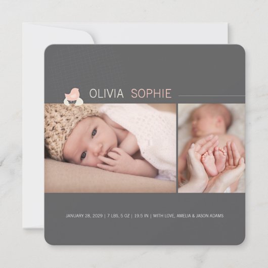 孵化卵ベビー雛ガール誕生のお知らせ 案内状 (正面)