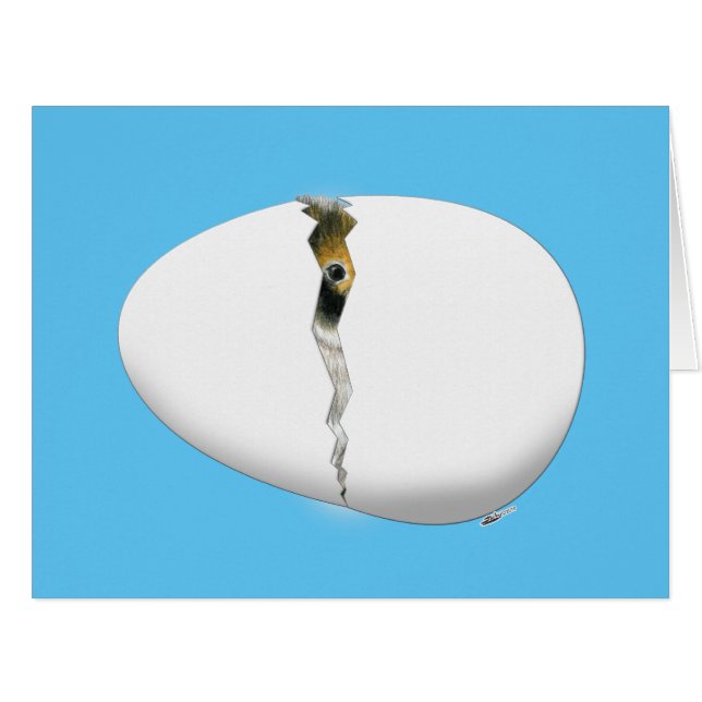 孵化卵 (正面横)