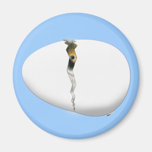 孵化卵 マグネット (正面)