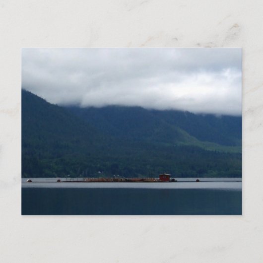 孵化場 ポストカード (正面)