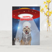 宇宙おもしろいテーマ、犬猫誕生日 カード (黄色い花)