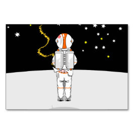 宇宙で短い間引きを受けた宇宙飛行士 テーブルナンバー