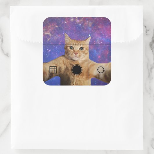 宇宙で自撮る赤いタビー猫 スクエアシール (バッグ)