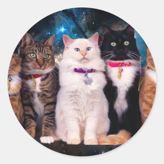 宇宙に座っている猫たちのグループ ラウンドシール (正面)