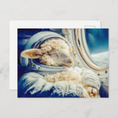 宇宙に浮かぶ宇宙飛行士のスーツの羊 シーズンポストカード (正面/裏面)