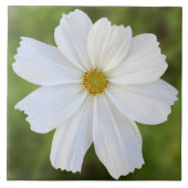 宇宙のセラミックタイル タイル (正面)