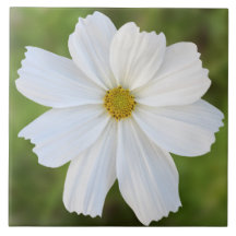 宇宙のセラミックタイル