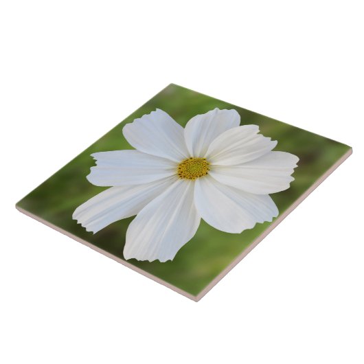 宇宙のセラミックタイル タイル (側面)