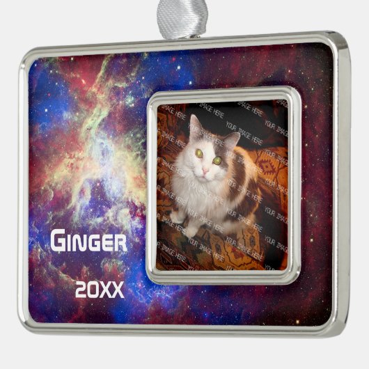 宇宙のタランチュラの星雲のパーソナライズな写真 シルバープレートフレームオーナメント (左)