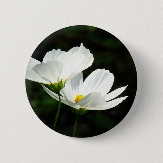 宇宙のデイジーの花 缶バッジ (正面)
