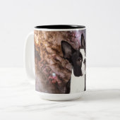 宇宙のボストンテリア ツートーンマグカップ (正面左)