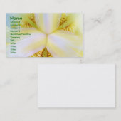 宇宙の中心 名刺 (正面/裏面)