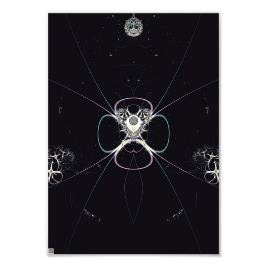 宇宙の花 フォトプリント            (正面)