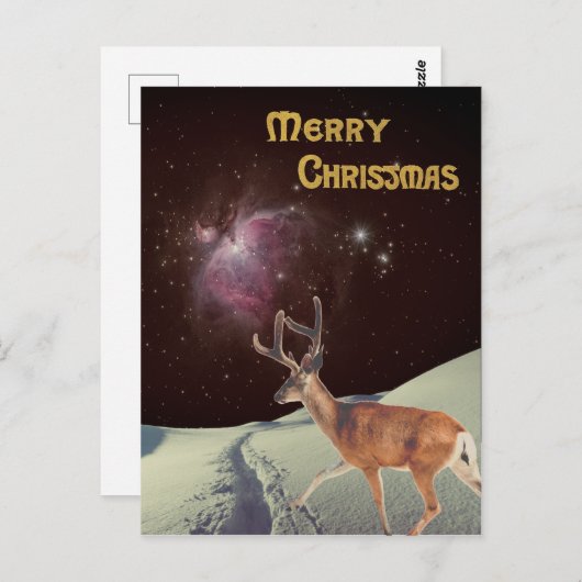 宇宙の超本物のクリスマストナカイ ポストカード (正面/裏面)