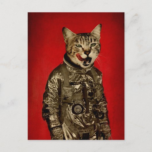 宇宙は美味しい ポストカード (正面)