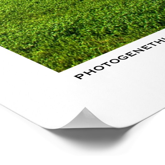 宇宙へ ポスター (角)