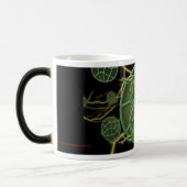 宇宙カエル モーフィングマグカップ (左)