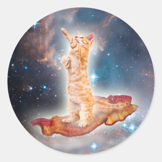 宇宙キャットサーフィンオンザベーコン ラウンドシール (正面)