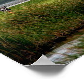 宇宙シャトルの着陸(STS-108) ポスター (角)