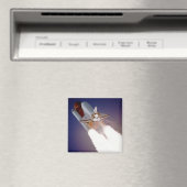 宇宙シャトルアトランティス マグネット (インサイチュ (食洗機))