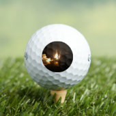 宇宙シャトルアース軌道宇宙船ナイトカンバ ゴルフボール (インサイチュ 木)