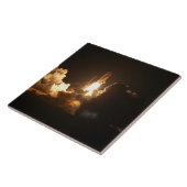 宇宙シャトルアース軌道宇宙船ナイトカンバ タイル (側面)