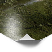 宇宙シャトルエンデバーが4をリフト フォトプリント            (角)