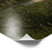 宇宙シャトルエンデバーが5をリフト フォトプリント            (角)