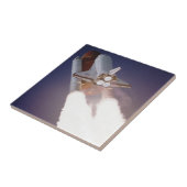 宇宙シャトル タイル (側面)