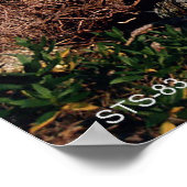 宇宙シャトルSTS-83の打ち上げ前 ポスター (角)