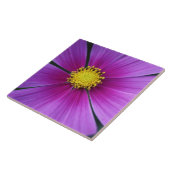 宇宙タイルの中心 タイル (側面)