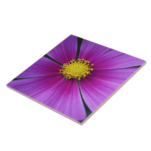 宇宙タイルの中心 タイル (側面)