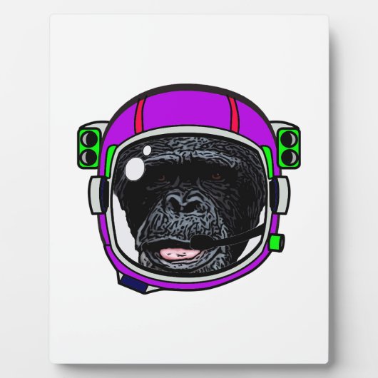 宇宙チンプ フォトプラーク (正面)