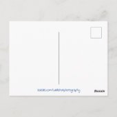 宇宙ナイトスカイムーン ポストカード (裏面)