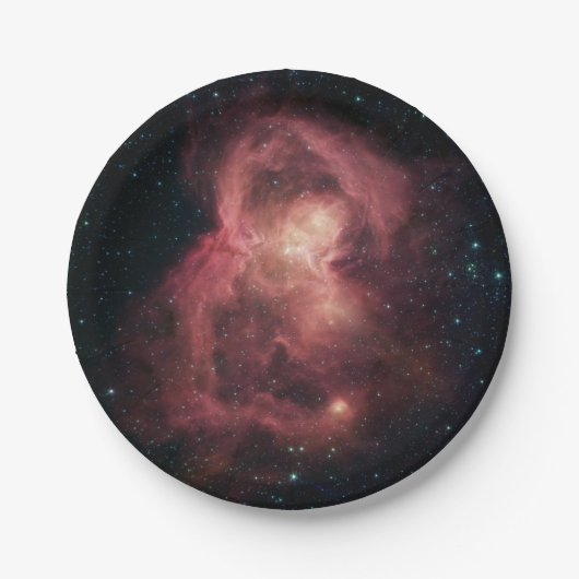 宇宙バタフライネブラ ペーパープレート (正面)