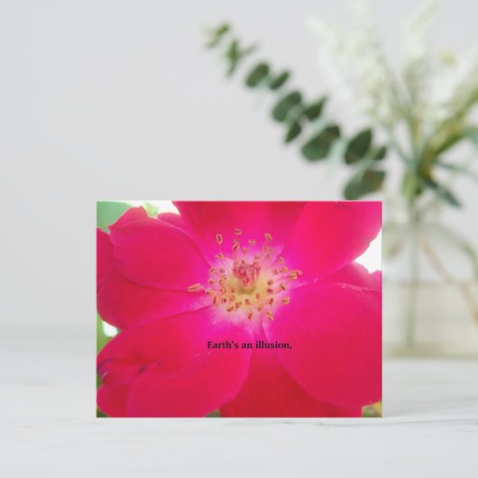 宇宙バラ:自然の偽りのデザイン ポストカード (スタンド正面)