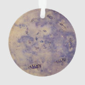 宇宙ビーオーナメント オーナメント (裏面)