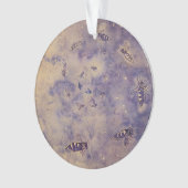 宇宙ビーオーナメント オーナメント (正面)