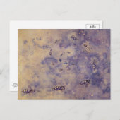 宇宙ビーズハガキ ポストカード (正面/裏面)