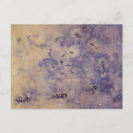 宇宙ビーズハガキ ポストカード
