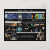 宇宙メリー暦恐竜の日! ポストカード (正面)